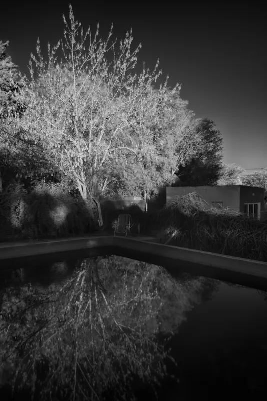 Un árbol iluminado y una silla junto a una pileta se reflejan en el agua oscura.