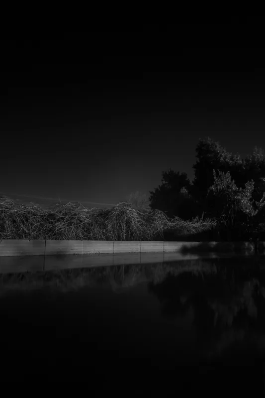 Agua oscura que refleja árboles y maleza, bajo un amplio cielo negro.