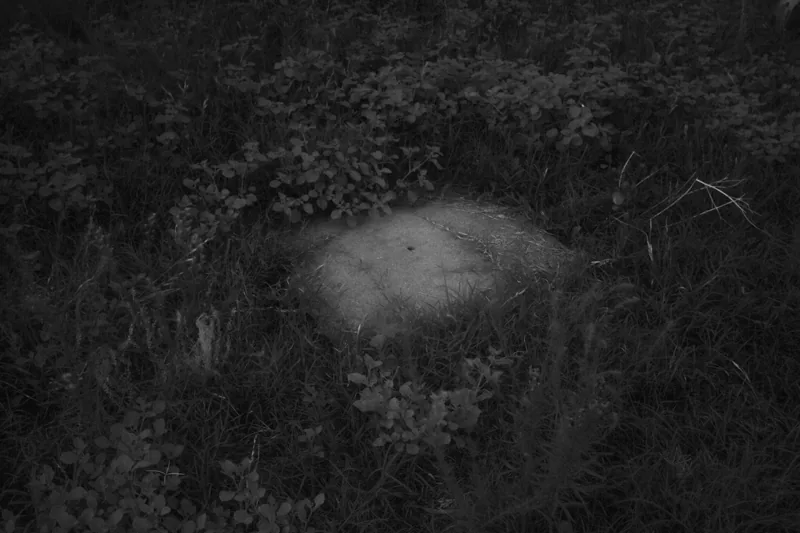 Tapa circular de hormigón parcialmente cubierta por pastos y plantas silvestres.