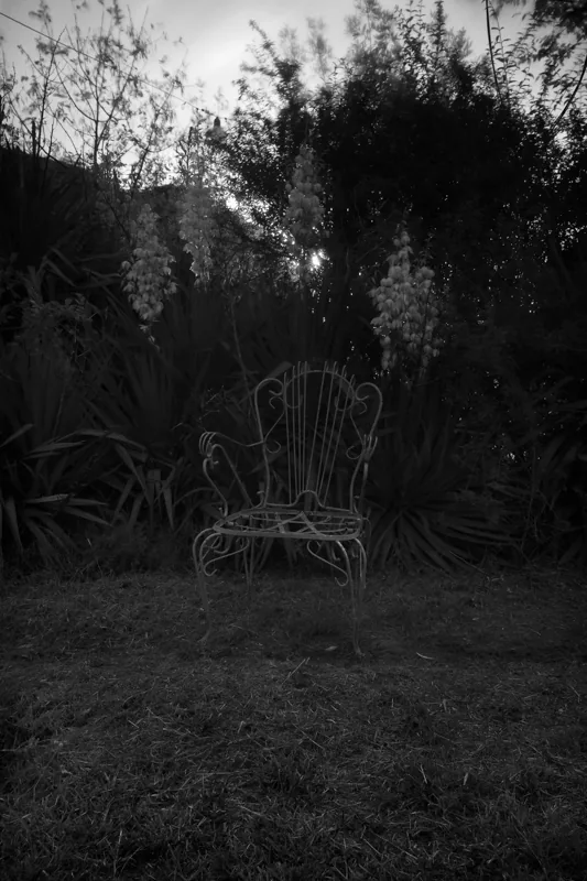 Sillón de hierro ornamentado entre plantas altas, con el sol filtrándose por el follaje.