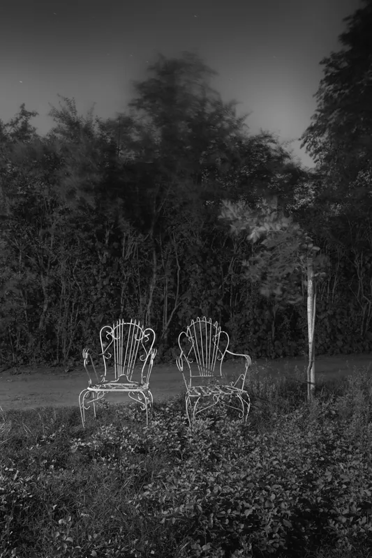 Dos sillones de hierro vacíos, uno más grande que el otro, junto a un árbol joven.
