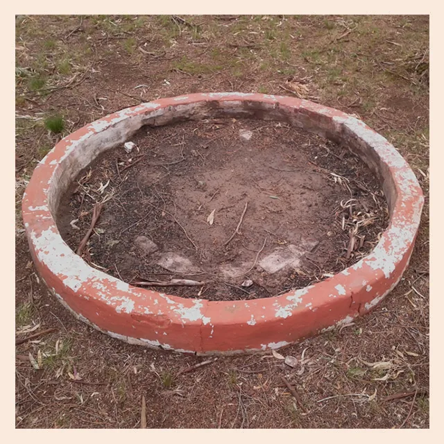 Borde circular de cemento rojo y blanco que rodea un hueco de tierra con ramas secas.