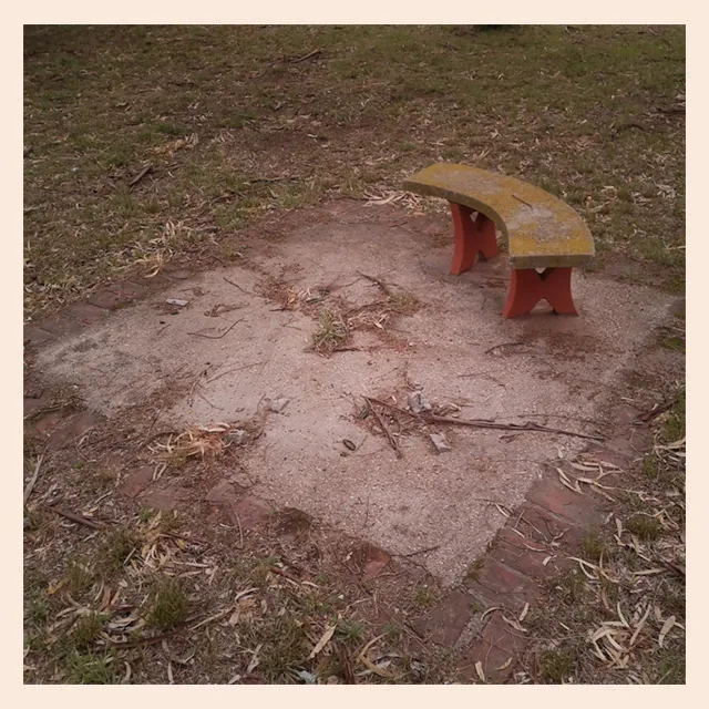 Un banco pequeño ocupa un extremo de una base de cemento incompleta, cubierta de ramas y hojas.